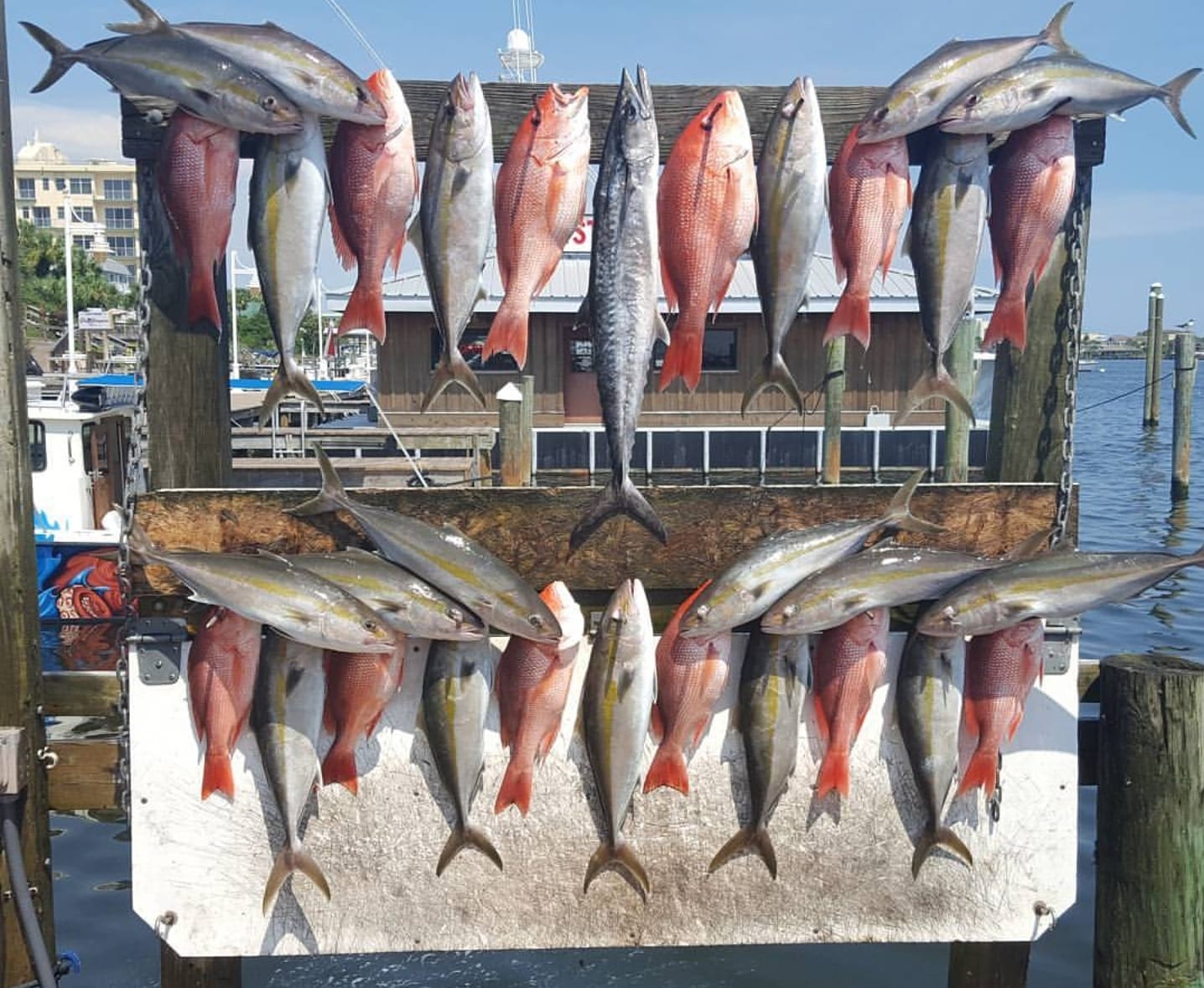Fishing Charters & Tours In Destin Florida