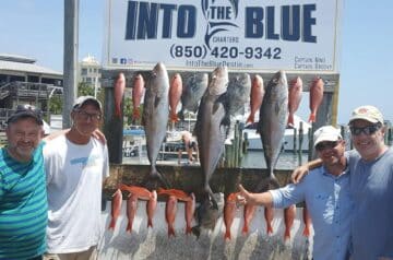 Into The Blue Summer Fishing Charters Featured Image