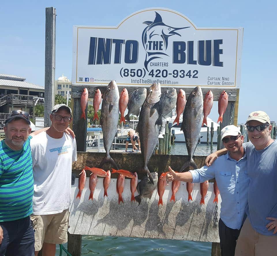 Into The Blue Summer Fishing Charters Featured Image