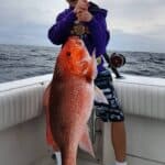 Red Snapper - 04"