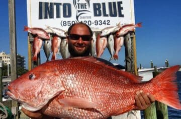 Into The Blue Red Snapper Fishing Charters - 2018 - Red Snapper - 05