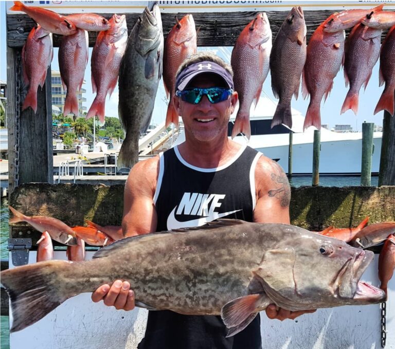 Grouper Fishing Trips - Full Day Private Charters | Into The Blue