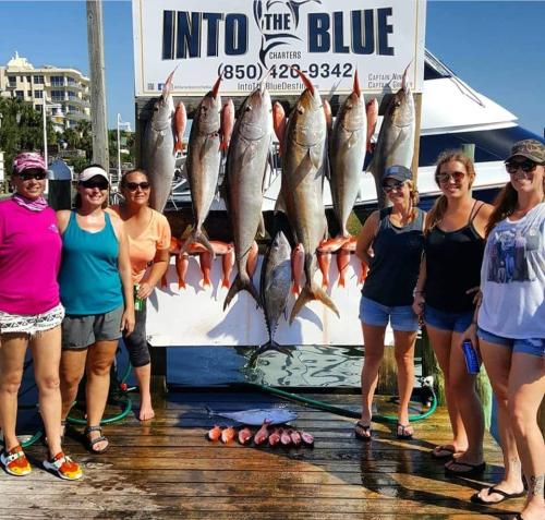 Into The Blue Fishing Charter - Amberjack Season - 05