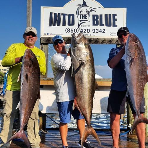 Amberjack Fishing 03