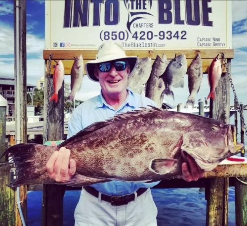 Spring Break Fishing Charter - Scamp Grouper